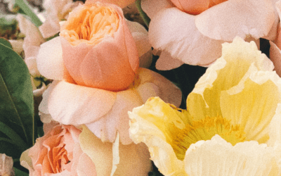 A Blooming Guide to Anniversary Blossoms – Cynthiana IN