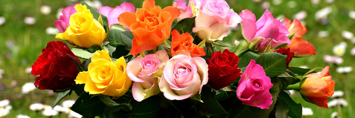 Flower Delivery New Harmony IN