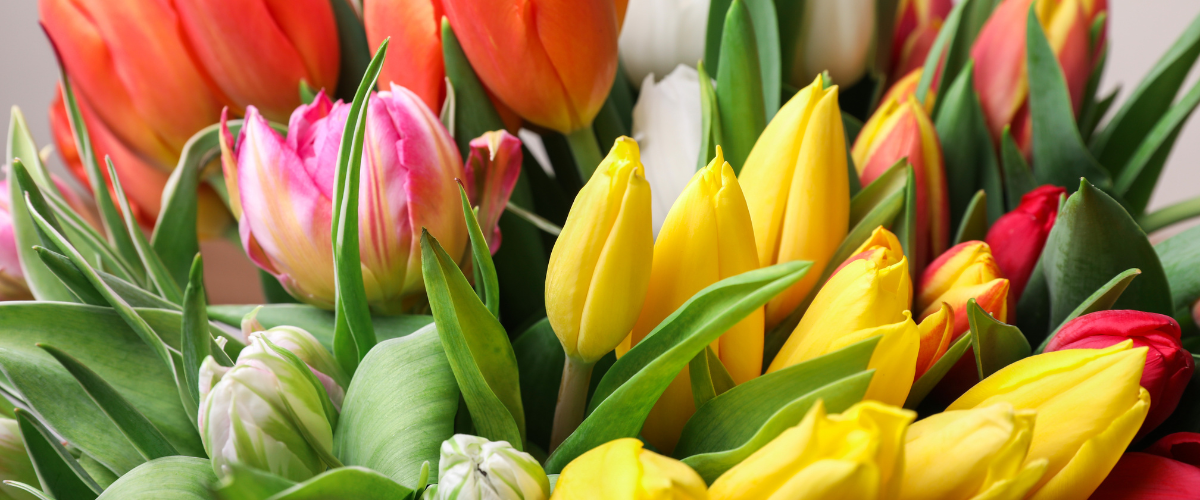 Flower Delivery New Harmony IN
